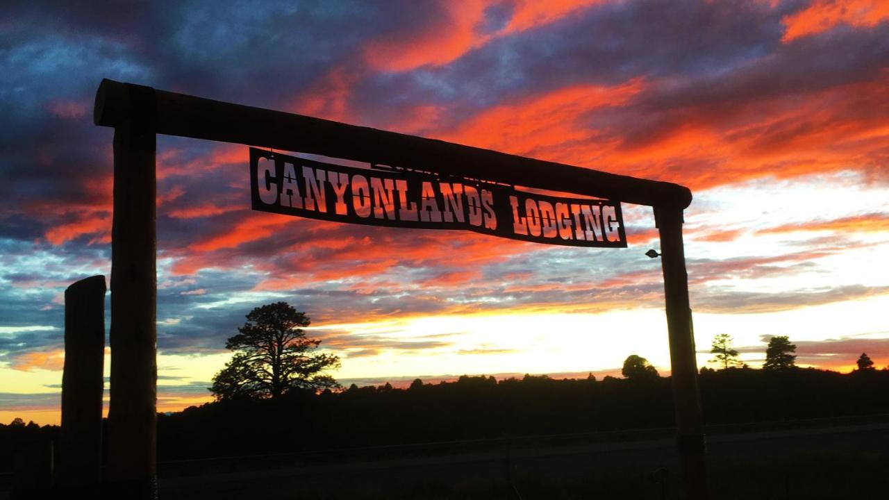 Ranch Mountain Cabin, Stunning! Campfire, Hiking Monticello Exterior foto